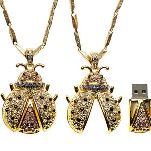 Ladybug Flash ((Pin) Drive